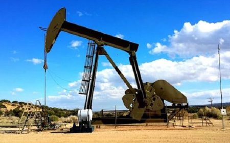 Dampak Potensial Jika Negara-negara Arab Melakukan Embargo Minyak ke Israel dan AS: Kenaikan Harga Minyak, Stabilitas Pasar, hingga Ancaman Krisis Energi Global