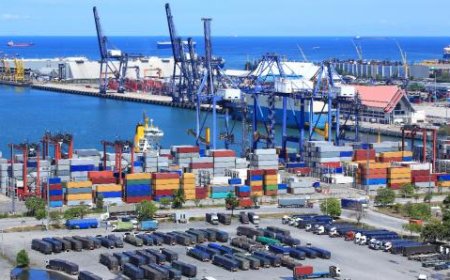 Dinamika Perdagangan Indonesia dengan Israel: Impor Barang Turun Tajam Menjadi Rp263,12 Miliar Sejak Awal Tahun