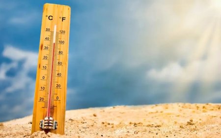 Rekor Panas Global: Tahun 2023 Diperkirakan Jadi yang Terpanas, Suhu Sentuh 2 Derajat Celsius di Atas Level Pra-Industri
