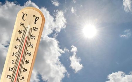 Pemanasan Global Mencapai Puncak: Suhu Harian Global Sentuh 2 Derajat Celsius di Atas Level Pra-industri