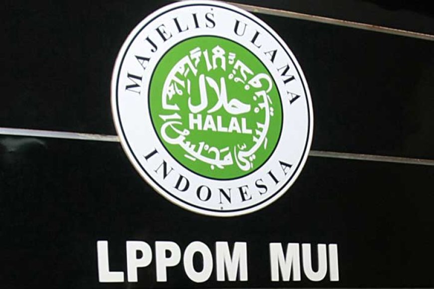 KSP Tolak Usulan MUI Cabut Sertifikat Halal Produk Pendukung Israel, Dukungannya untuk Palestina Tetap Kuat