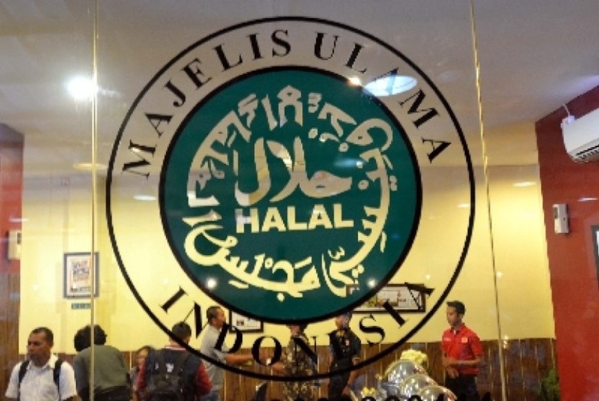 KSP Menolak Usulan MUI Cabut Sertifikat Halal Produk Pendukung Israel, Penjelasan dan Dukungan dari Wakil Komisi VIII DPR