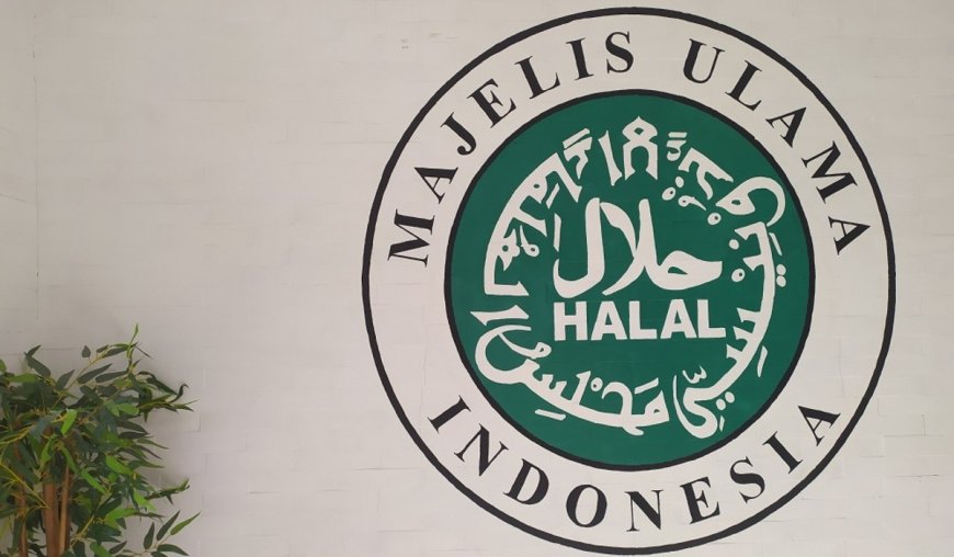 Kontroversi Terkait Sertifikat Halal: KSP Tolak, MUI Usul Cabut Produk Pendukung Israel