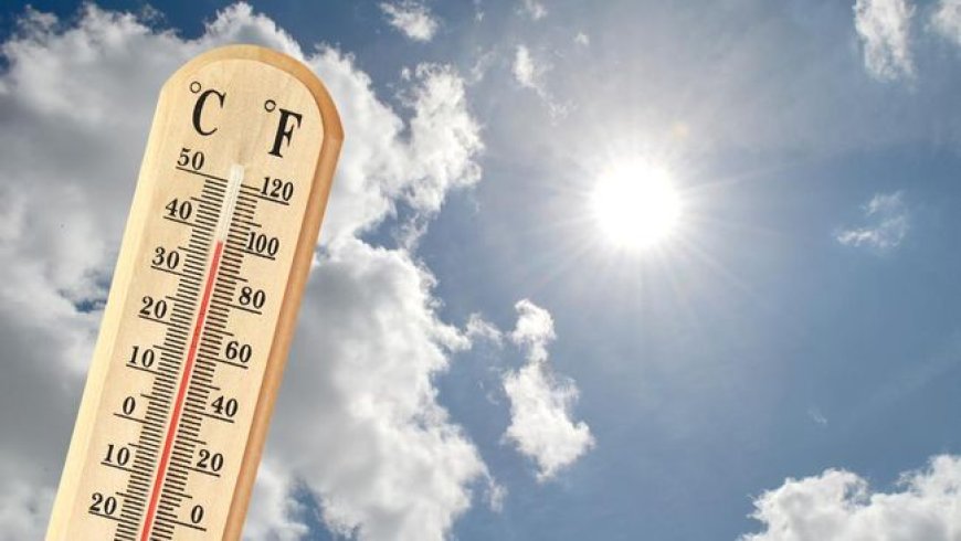 Pemanasan Global Mencapai Puncak: Suhu Harian Global Sentuh 2 Derajat Celsius di Atas Level Pra-industri