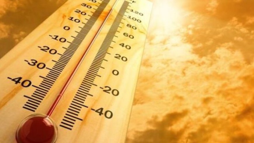 Rekor Pemanasan Global: Suhu Harian Sentuh 2 Derajat Celsius, Menandai Tahun Terpanas dalam Sejarah