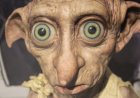 Dobby Syndrome: Menelusuri Dibalik Rasa Bersalah Hingga Cara Mengatasinya