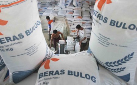 Bulog Perluas Dampak Sosial, Beri Bantuan Beras kepada 22 Juta Keluarga di Tengah Kenaikan Harga