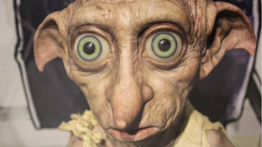 Dobby Syndrome: Menelusuri Dibalik Rasa Bersalah Hingga Cara Mengatasinya