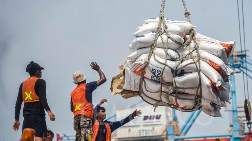 Jokowi Umumkan Impor 3 Juta Ton Beras untuk Stabilkan Ketahanan Pangan Indonesia