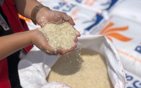 Lonjakan Harga Beras Pecahkan Rekor di Era Jokowi: Tembus Rp18 Ribu per Kg