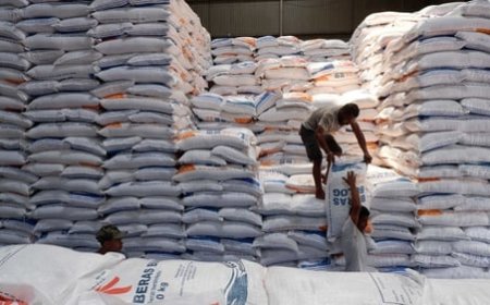 500 Ribu Ton Beras Impor Telah Masuk ke Indonesia