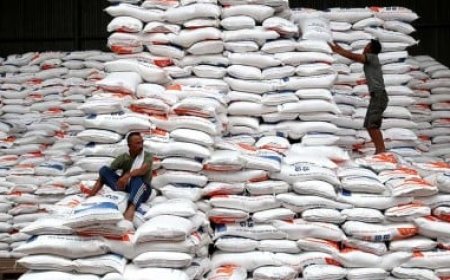 Impor Beras Capai 500 Ribu Ton: Bulog Berupaya Jaga Stabilitas Pasokan Pangan di Indonesia