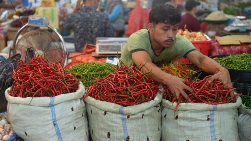 Kenaikan Mayoritas Harga Pangan Pada Awal Pekan, Cabai dan Beras Terpengaruh