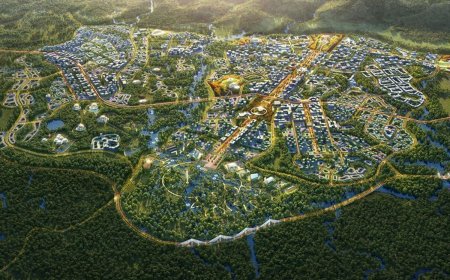 Stanford University Akan Bangun Kampus di IKN Mulai Mei 2024