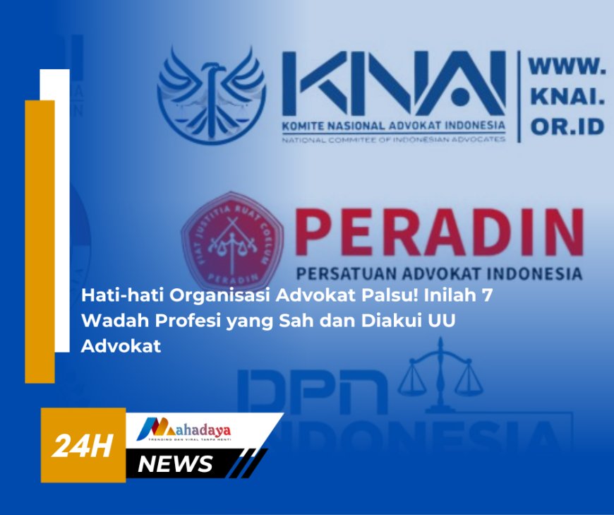 Hati-hati Organisasi Advokat Palsu! Inilah 7 Wadah Profesi yang Sah dan Diakui UU Advokat